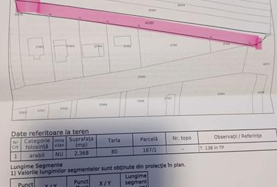 Spațiu comercial, în Frătești - 3