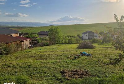 Teren de 1250 mp, în Șura Mare - 8