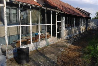 Tomsani, Prahova Tomsani, Prahova - 3