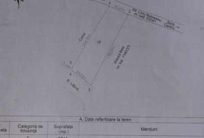 Spațiu comercial, în Central - 5