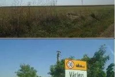 Teren extravilan Varlezi, cota parte 1/4, ID: R2730271 - 3