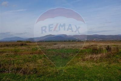 Domeniu Baronial de vanzare in localitatea CIL , Judet Arad - 12