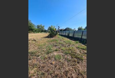 Teren Intravilan pentru Constructii Teren Intravilan pentru Constructii - 4