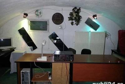 Spațiu comercial, de 431 mp, în Micălaca - 10