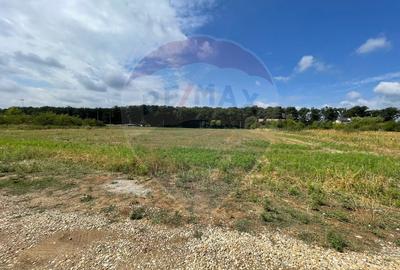 Teren Snagov adiacent Complex Sportiv Snagov - 4