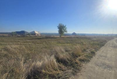 Teren 1000mp ,la intrarea in Filiasi - 2