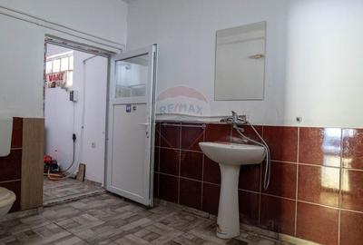 Vanzare imobil cu functiune mixta Ungureni/ Dambovita - 21