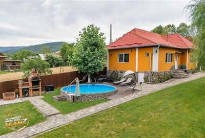 FILM&3D! Doua case cu:piscina,foisor,arbori decorativi,1.700mp teren,Lutoasa,Cov - 46