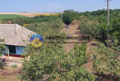 Teren de vanzare - Margineni 5920 mp - 15