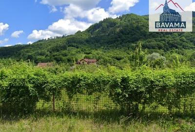 Teren Extravilan de vanzare Glajarie