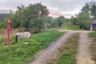 Teren Construcții intravilan de 1500 mp, în Damiș - 3