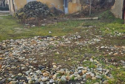 Gelu [Varias] – Imobil  Afacere Brutarie – Hala – Teren - 10