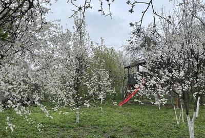 Casă cu 2 camere cu Teren 2056 Mp în Buzești - 2