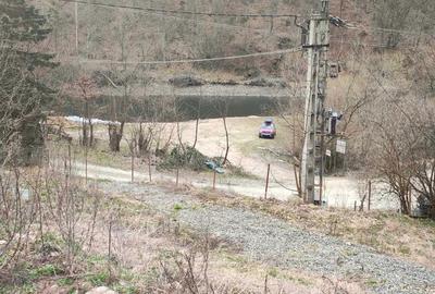 Spațiu comercial, în Lăpuștești