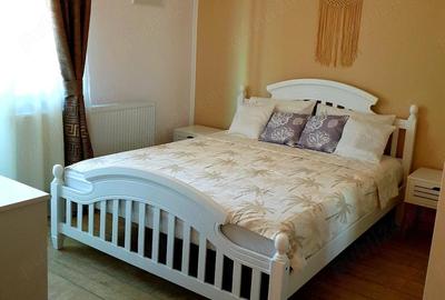 Apartament cu 2 camere decomandat în Precista - 6