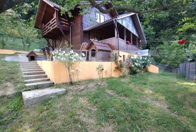 Cabana 3 cam,2 nivele 100 mp+teren extravilan 2,5 ha+1 ha padure,zona Nasaudului - 1