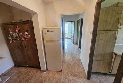 Apartament cu 3 camere semidecomandat în Calea Caransebeșului - 18