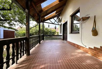 Vila in Ungaria, Mezohegyes 40 km de Arad - 4