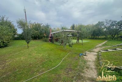 Casa cu 4 camere si teren generos de vanzare in Santandrei-Bihor - 5
