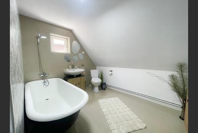 Casa la cheie /vila/pensiune Valiug,Crivaia . - 17