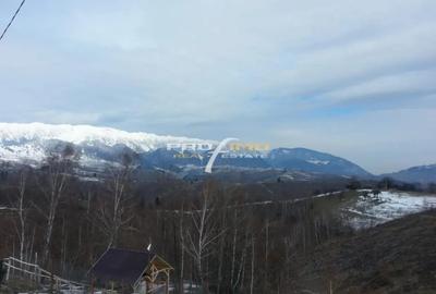 Teren în Moieciu - 3