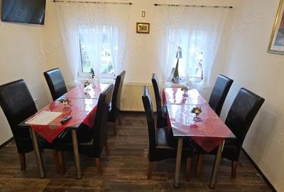 Vila Caciulata inchiriere Craciun 2025 - 6