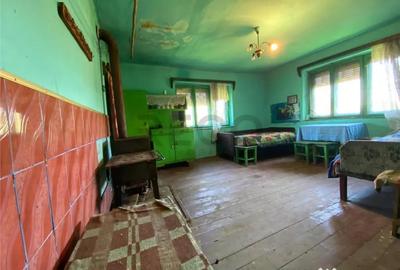 Casă cu 2 camere cu Teren 7927 Mp în Damiș - 5