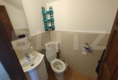 Cabana 2 nivele,90 mp utili,182 mp teren,ciubar,terasa,gratar,Baile Figa - 11