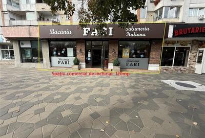 Stefan cel Mare - spatiu comercial stradal 120mp - 4