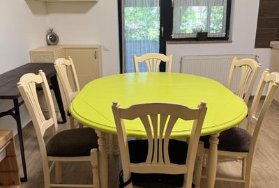Apartament 5 camere cu gradina 200 mp/ Jiului - 6