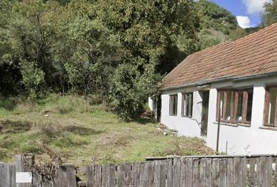 Casă cu 2 camere cu Teren 762 Mp în Blandiana - 4