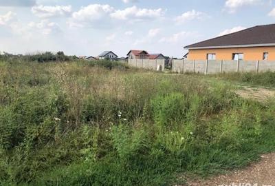 Teren Construcții intravilan de 681 mp, în Moșnița Nouă - 3