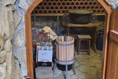 Proprietate deosebita in Agafton - 19
