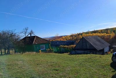 Casa Valea tarnei 8 hectare p mant - 2