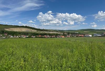 Spațiu comercial, în Șura Mare - 2