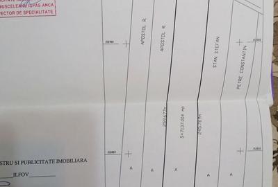 Teren de 7108 mp, în Tâncăbești - 2