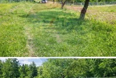 Casă cu 2 camere cu Teren 9035 Mp în Breb