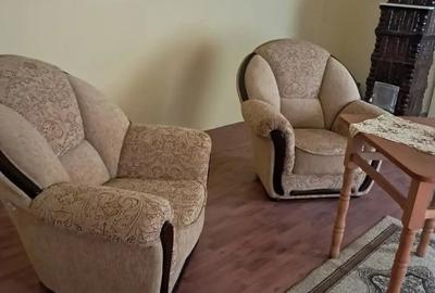 Casă cu 5 camere cu Teren 4000 Mp în Lugoj - 1