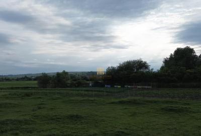 Teren 3953 mp Falticeni Tarna Mare De 0727817187 - 28