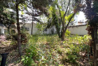 Duplex cu 20 camere cu Canalizare în Unirii - 30