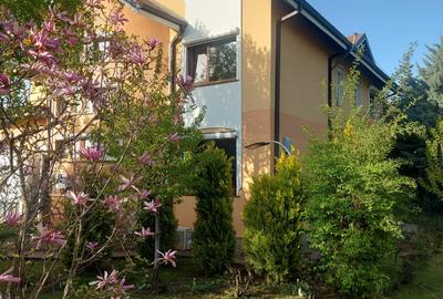 Cămin cu aer de vacanță, tot timpul anului la Snagov - 3
