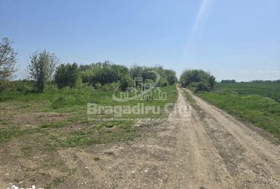 Teren de 526 mp, în Clinceni