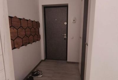 Apartament cu 2 camere semidecomandat în Sânnicoară - 6