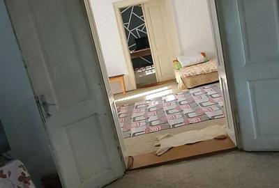 Casă cu 3 camere cu Teren 1500 Mp în Teremia Mare - 8