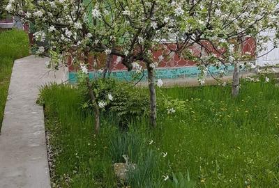 Spațiu comercial, în Cordun