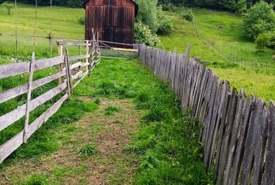 5283 mp TEREN INTRAVILAN IN ZONA TURISTICA MONTANA BUCOVINA, VAMA - SUCEAVA - 2
