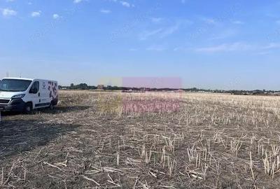 Teren Domnesti strada Ciocarliei. - 3