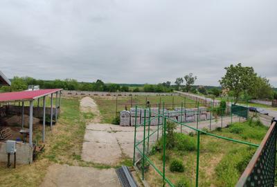 Casă + teren 4200 mp, vie, curent, fosa, anexă – Crevedia Mare, Giurgiu - 12