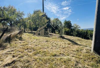 TEREN INTRAVILAN 3234 MP LERE?TI VOINE?TI ARGE? - 17