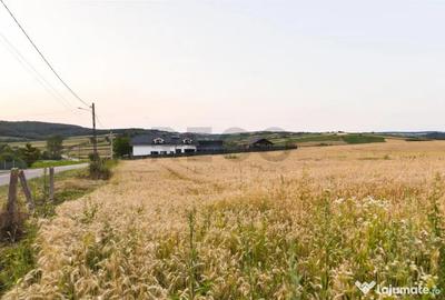 Teren de 1000 mp, în Lăzăreni - 10